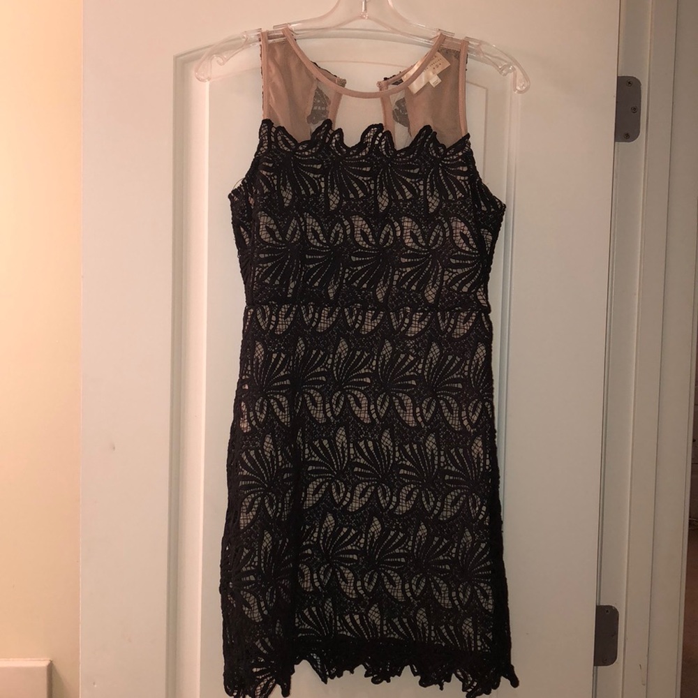 J.O.A. Black and Tan lace dress